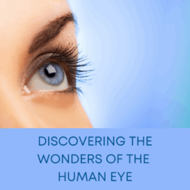 Blog title & person's eye looking up